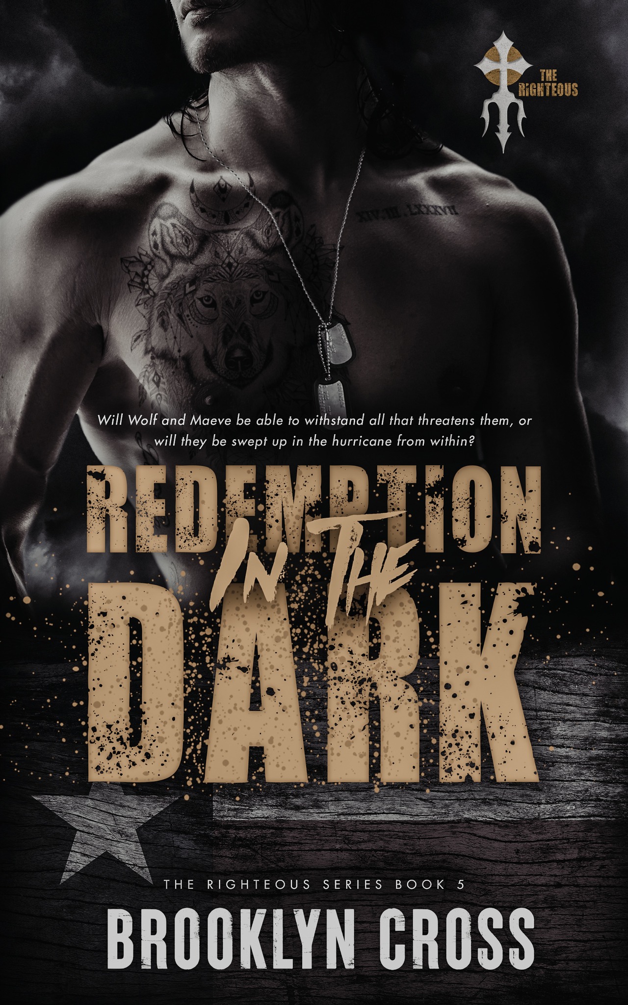 Redemption in the Dark book cover
