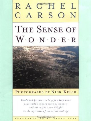 The Sense of Wonder book cover