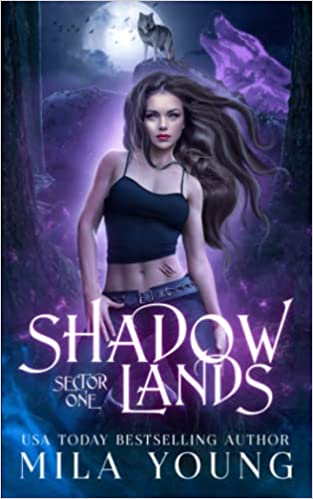 Shadowlands Sector book cover 1