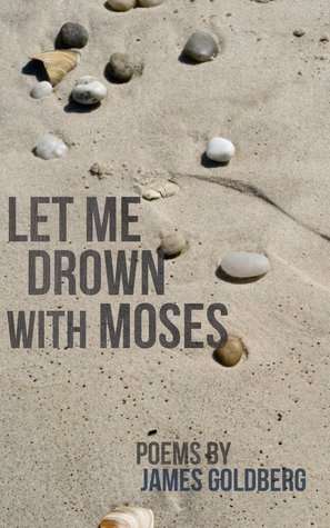 Let Me Drown With Moses book cover