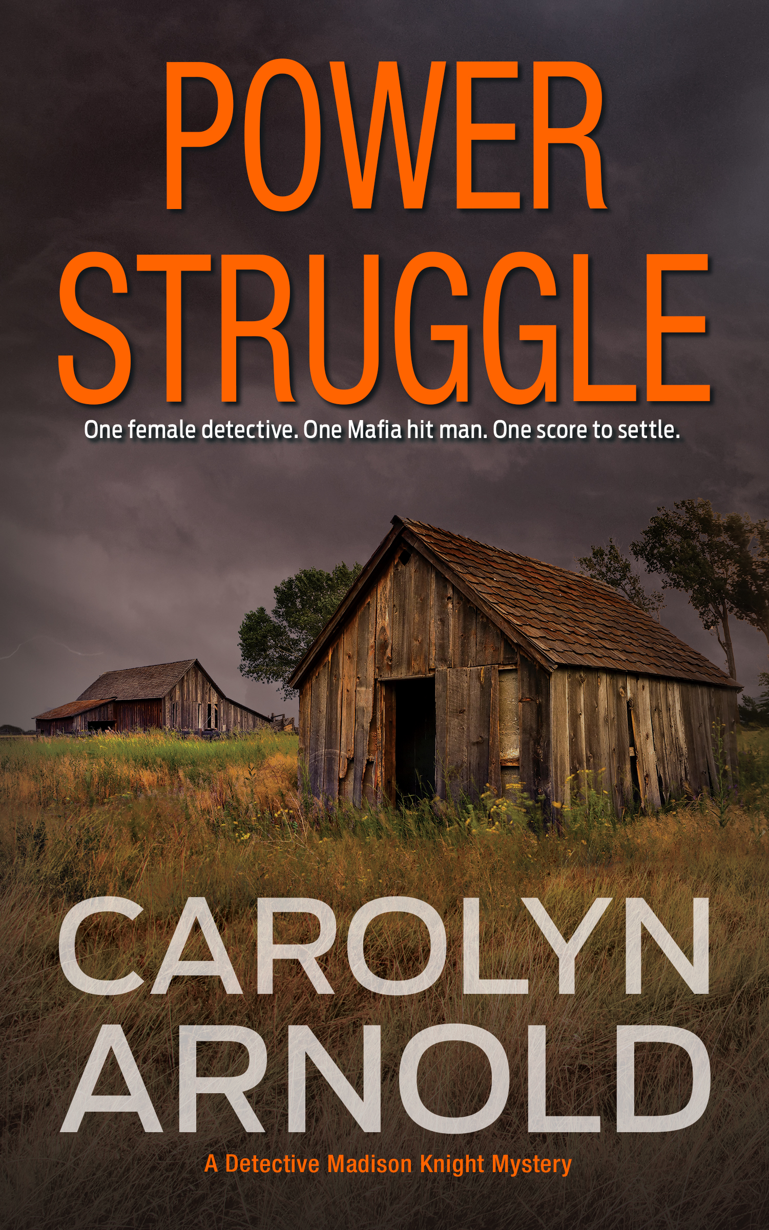 Power Struggle book cover