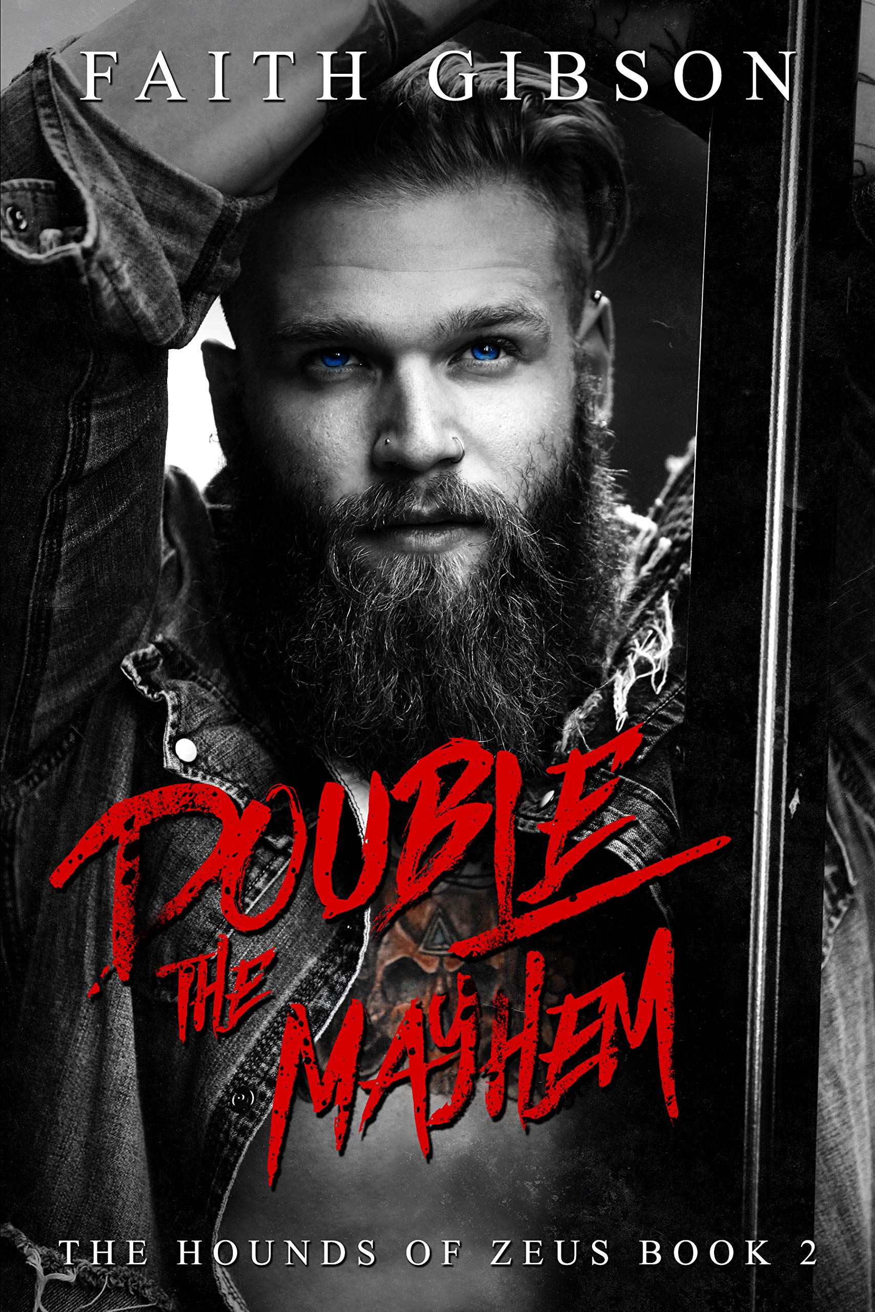 Double the Mayhem book cover