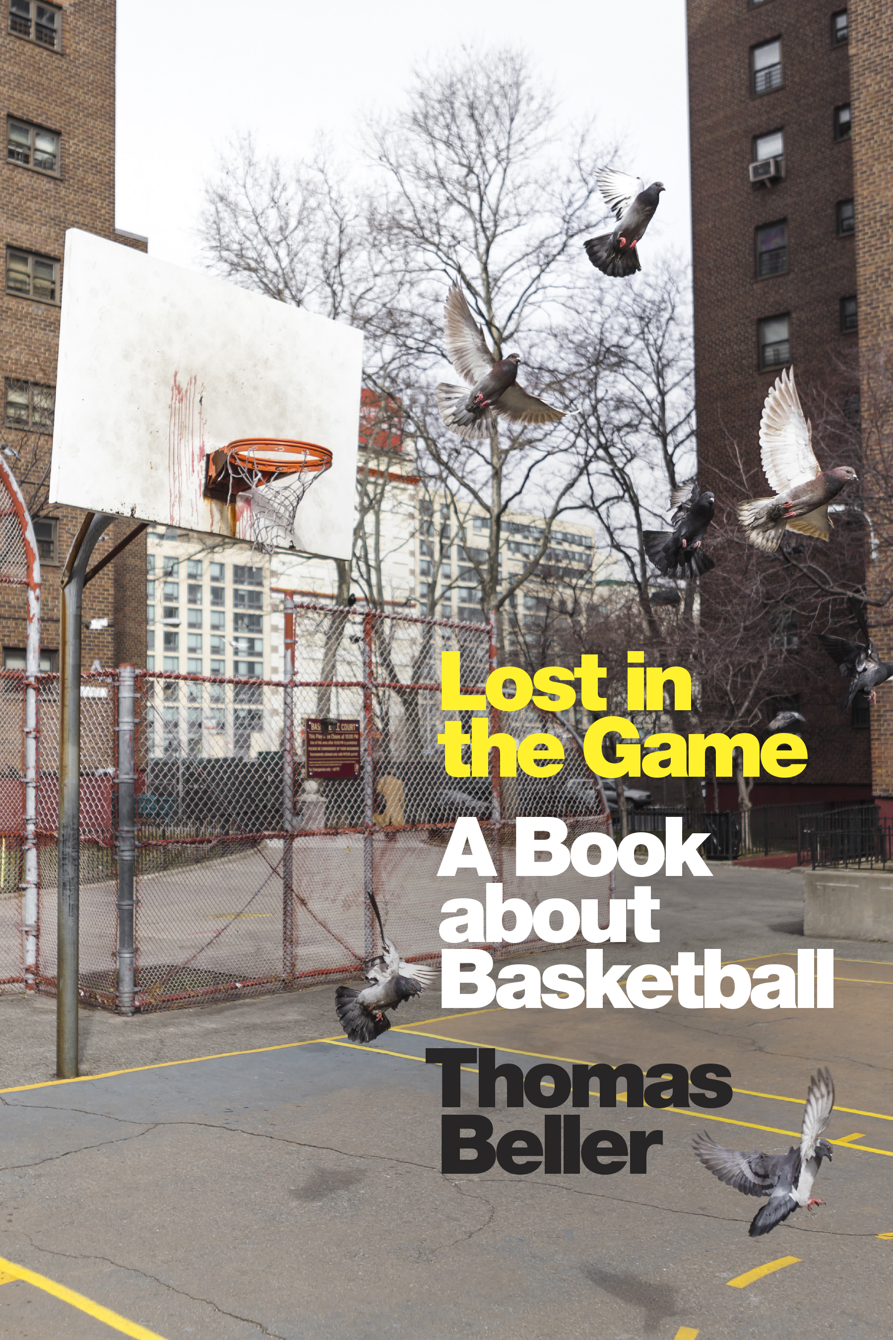 Lost in the Game book cover