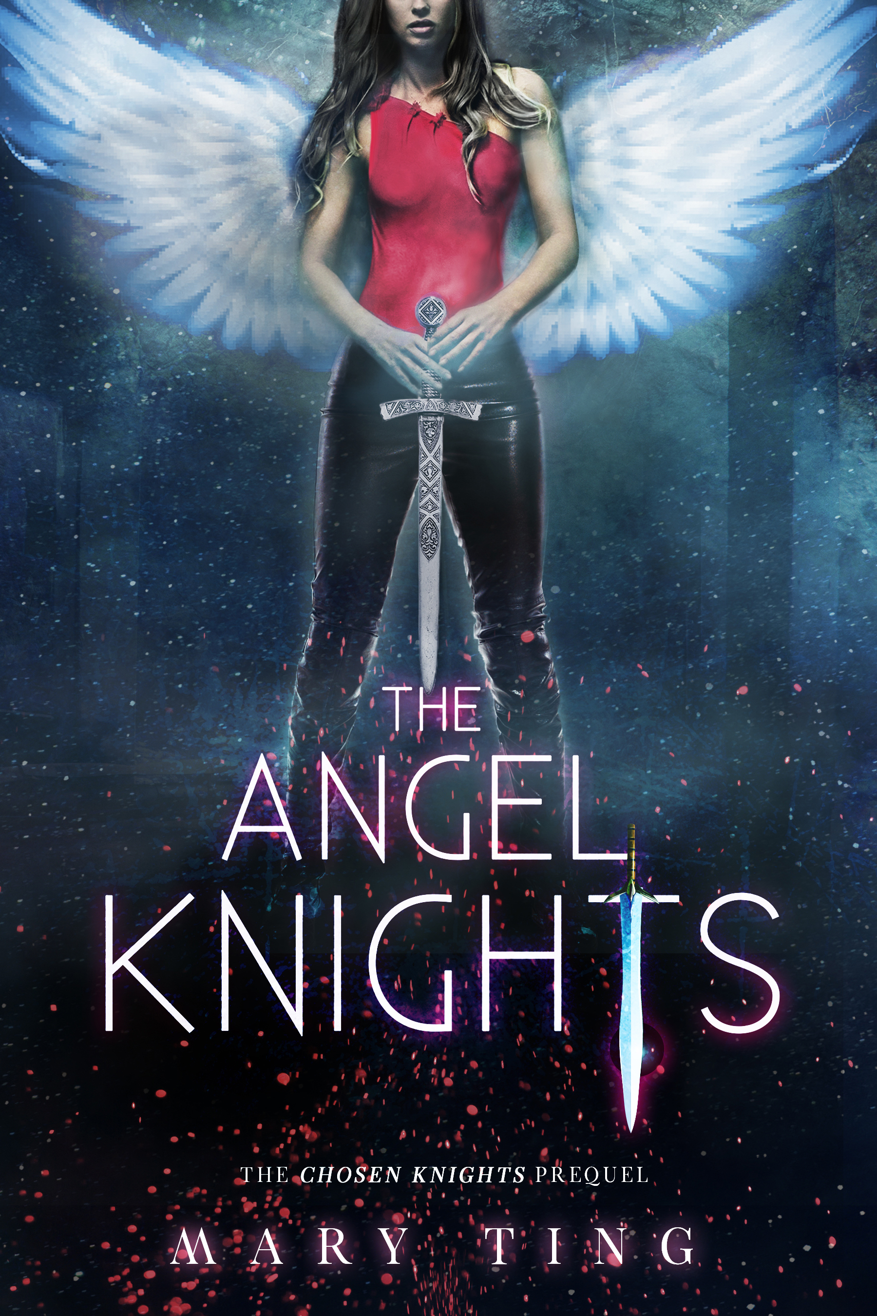 The Angel Knights book cover