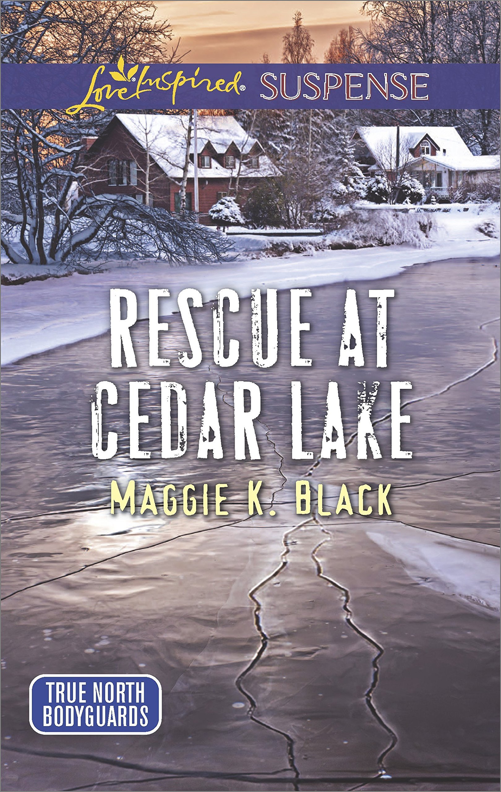 True North Bodyguards book cover 2