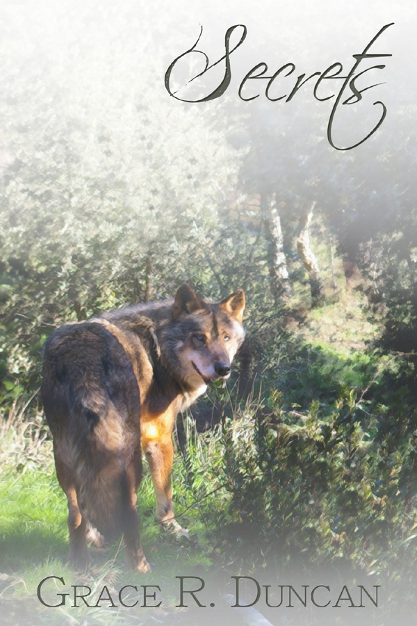 Secrets book cover