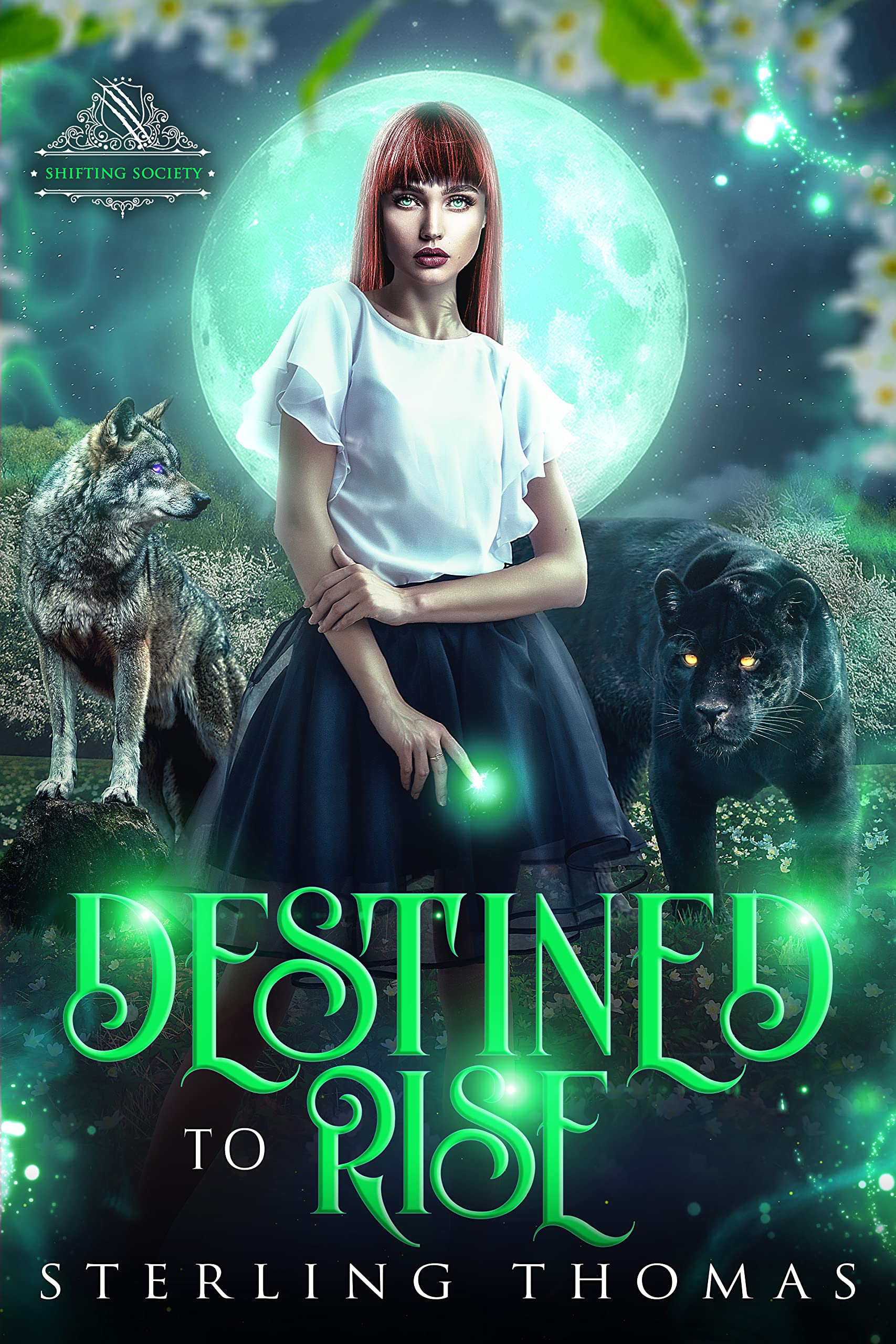 Destined to Rise book cover