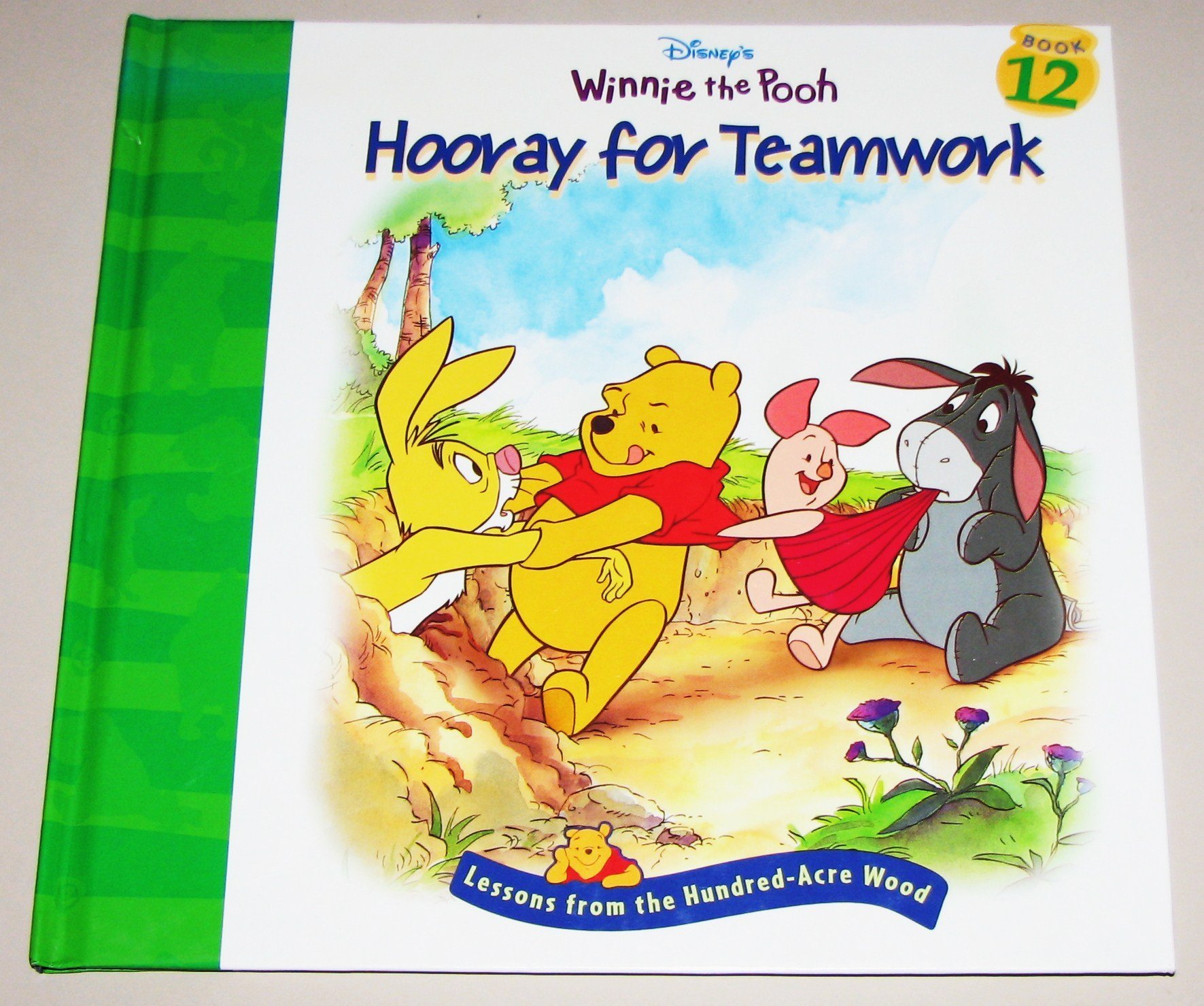 Hooray for teamwork book cover