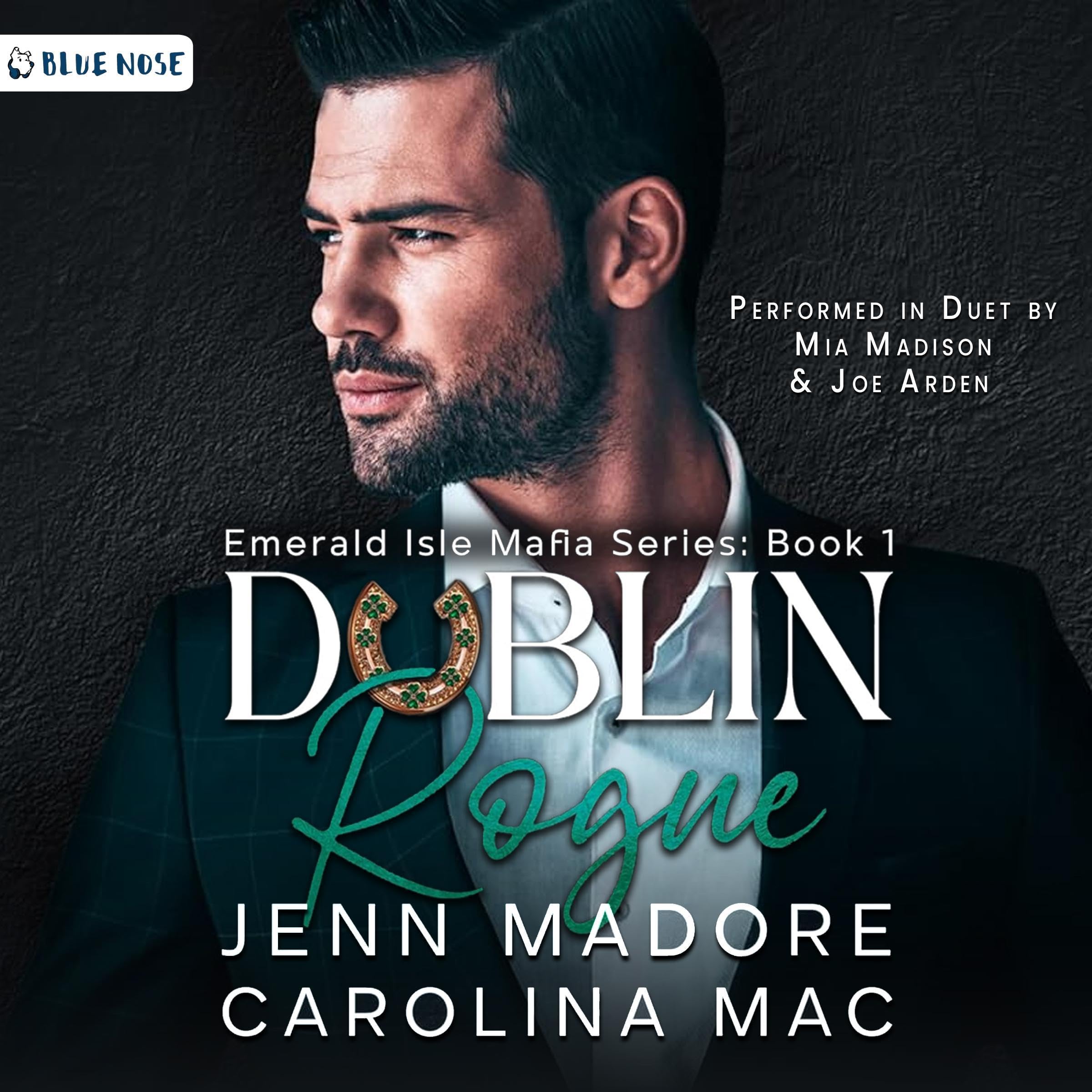 Dublin Rogue book cover