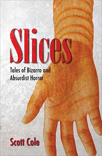 Slices book cover