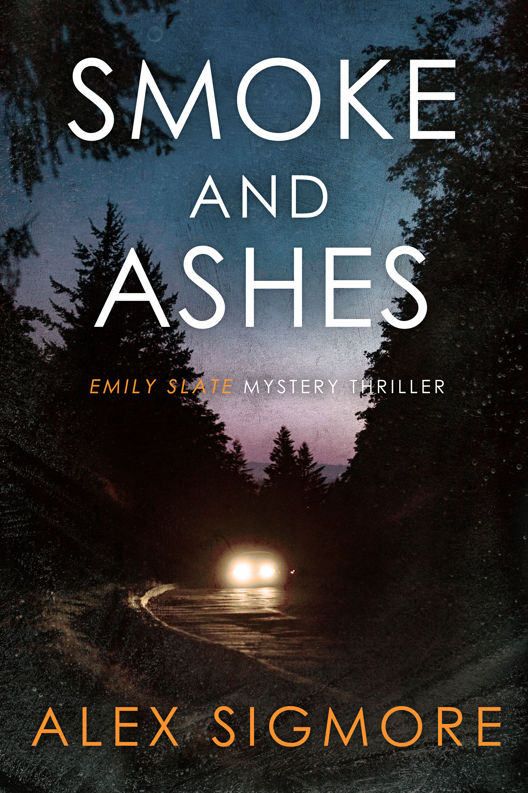 Emily Slate book cover 3
