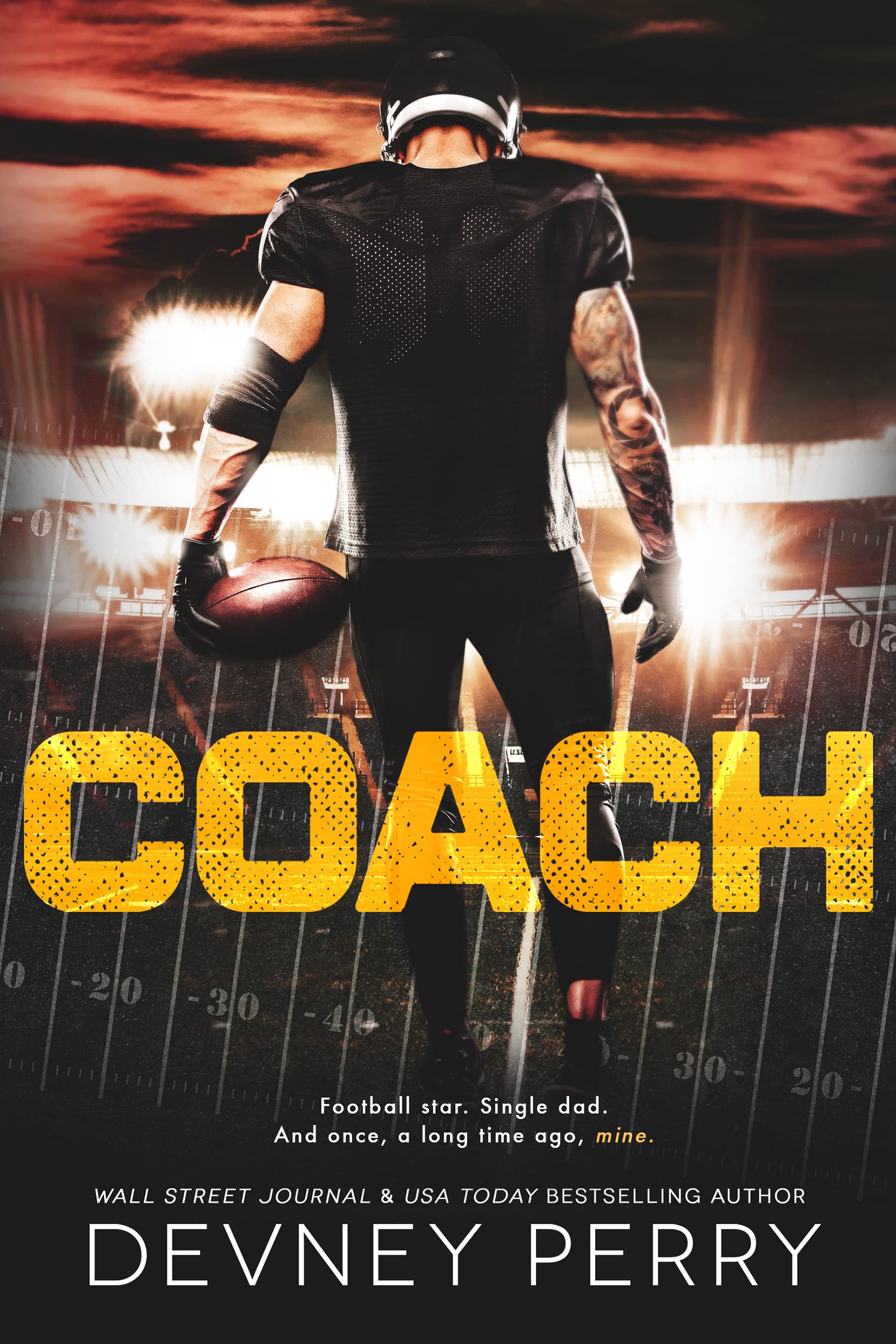 Treasure State Wildcats book cover 1