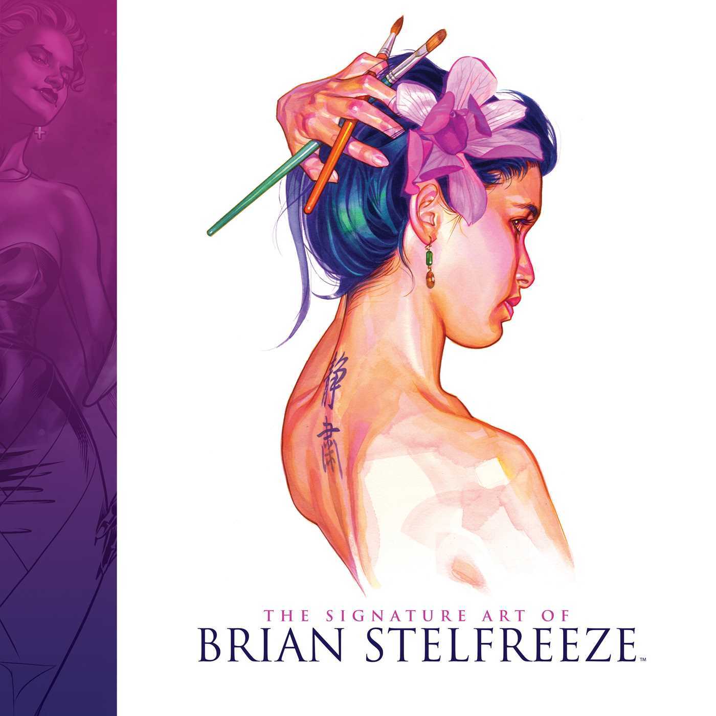 The Signature Art Of Brian Stelfreeze book cover