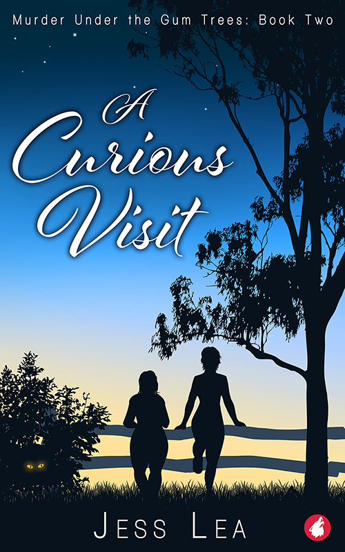 A Curious Visit book cover