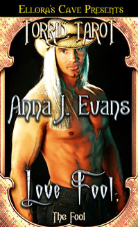 Love Fool book cover