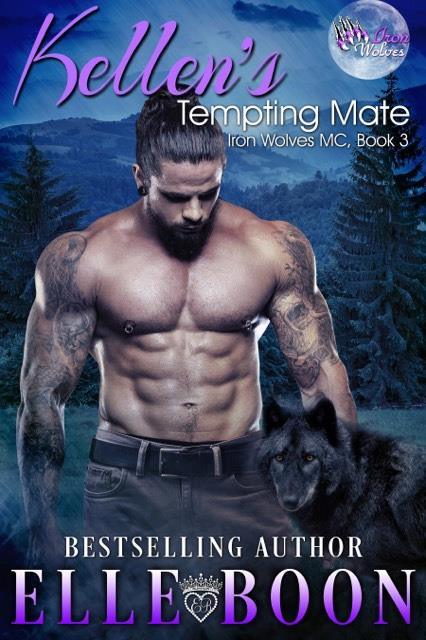 Iron Wolves MC book cover 3