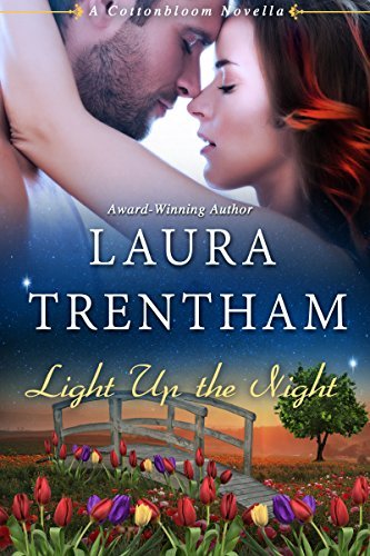 Light Up the Night book cover