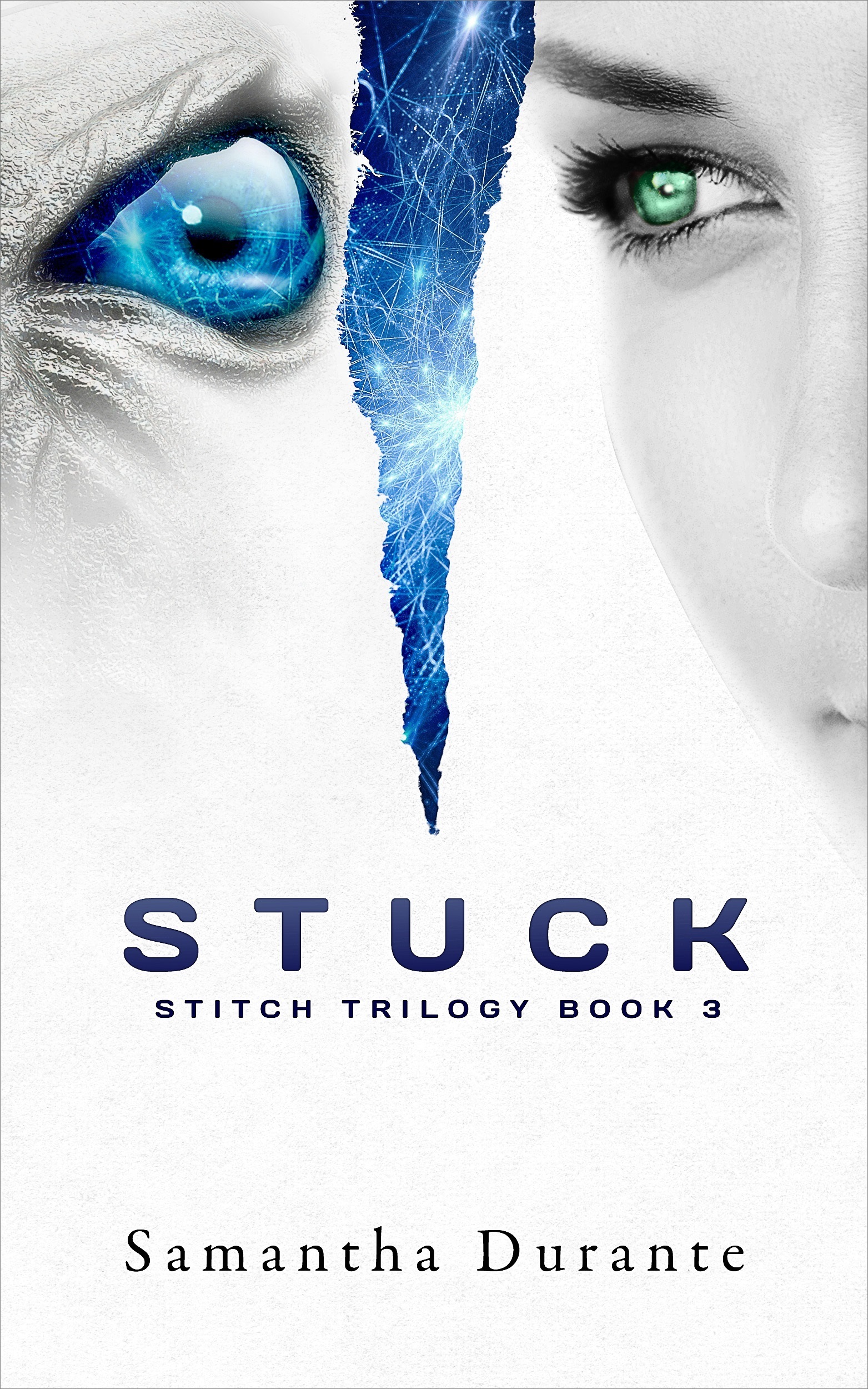 Stitch Trilogy book cover 3