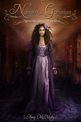 Never Veil book cover 1