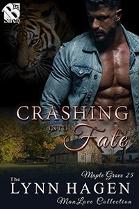 Crashing Into Fate book cover