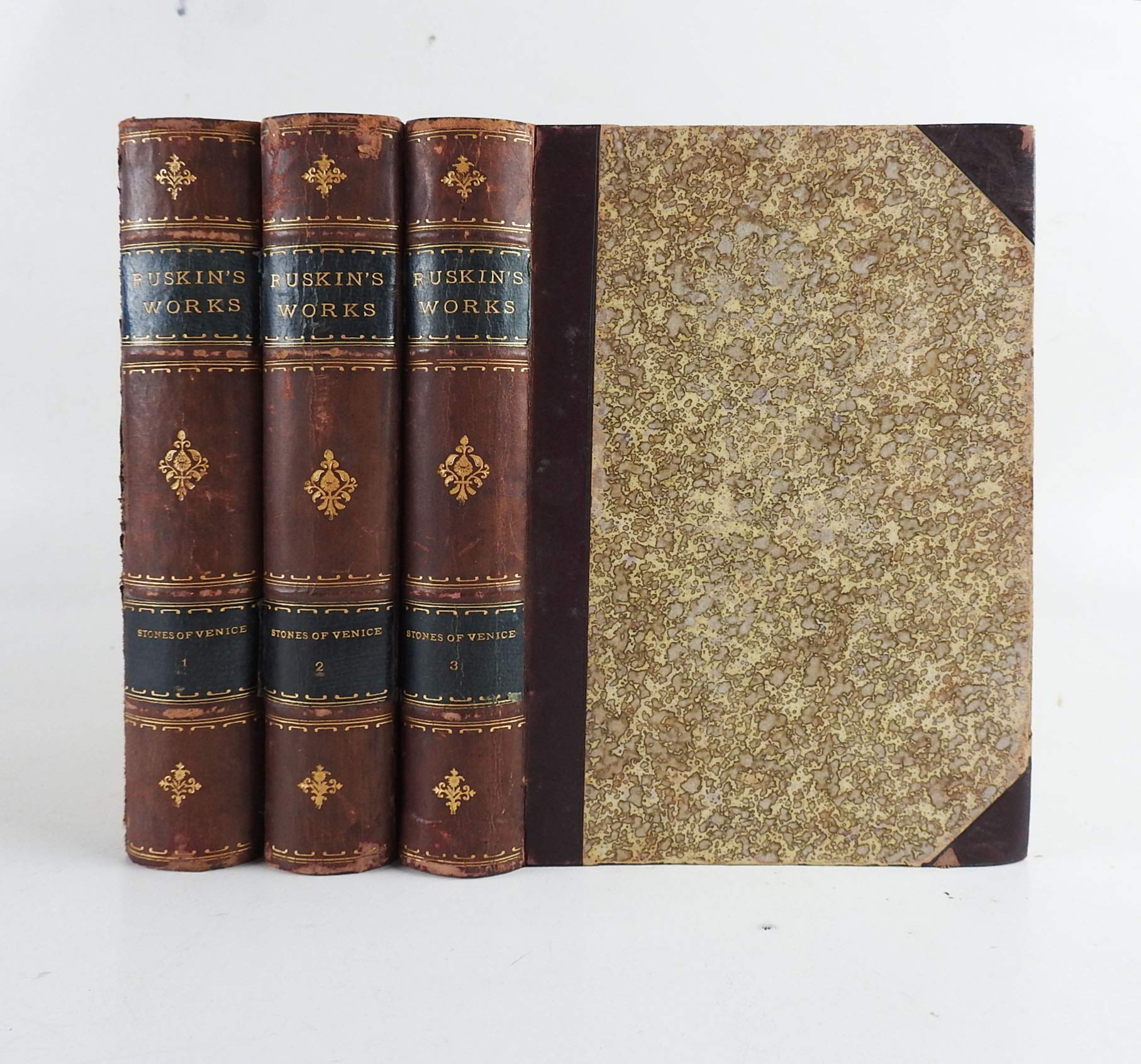Stones of Venice book cover