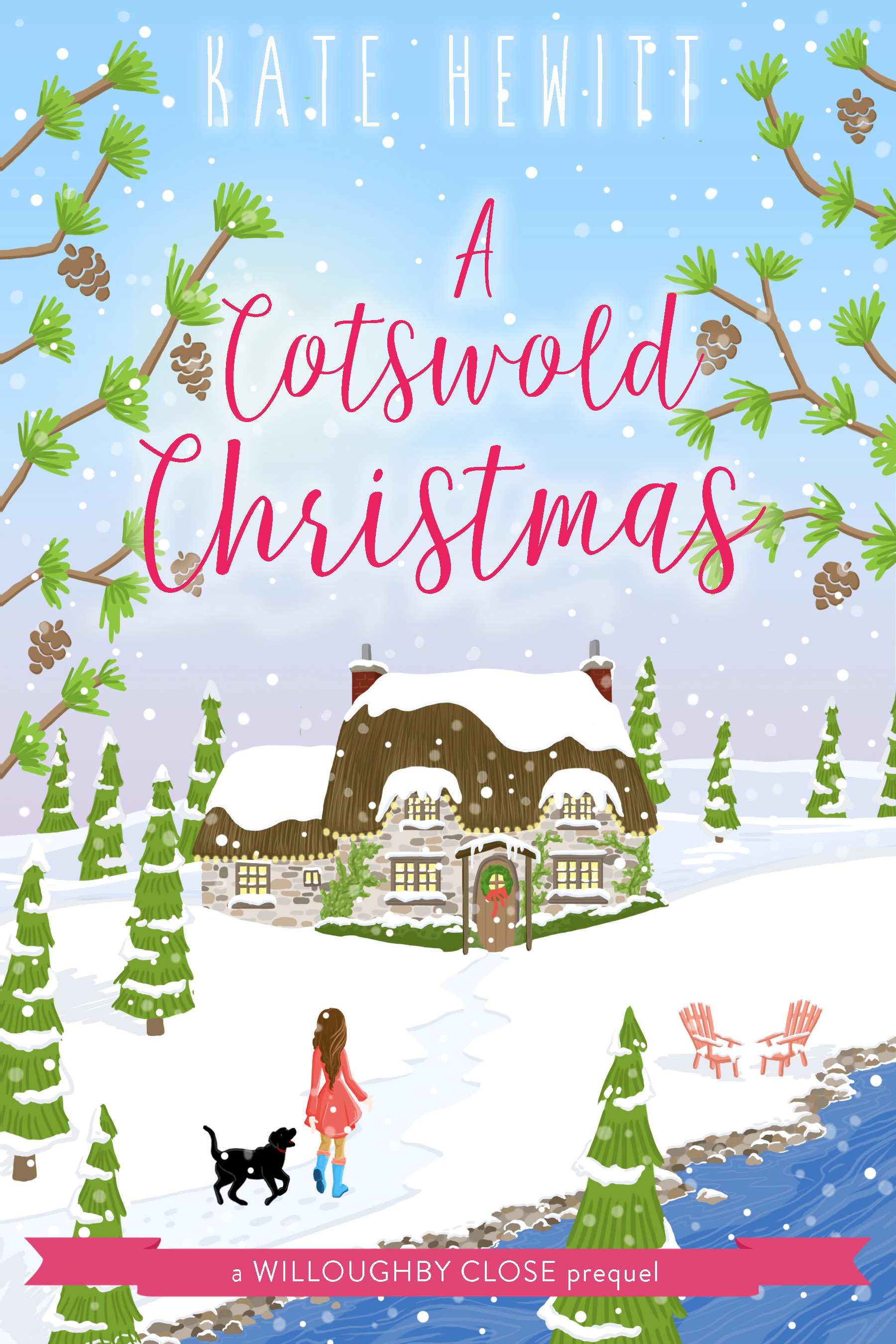 Willoughby Close book cover 1