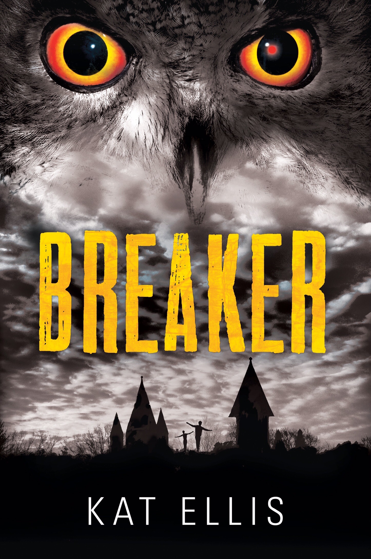 Breaker book cover