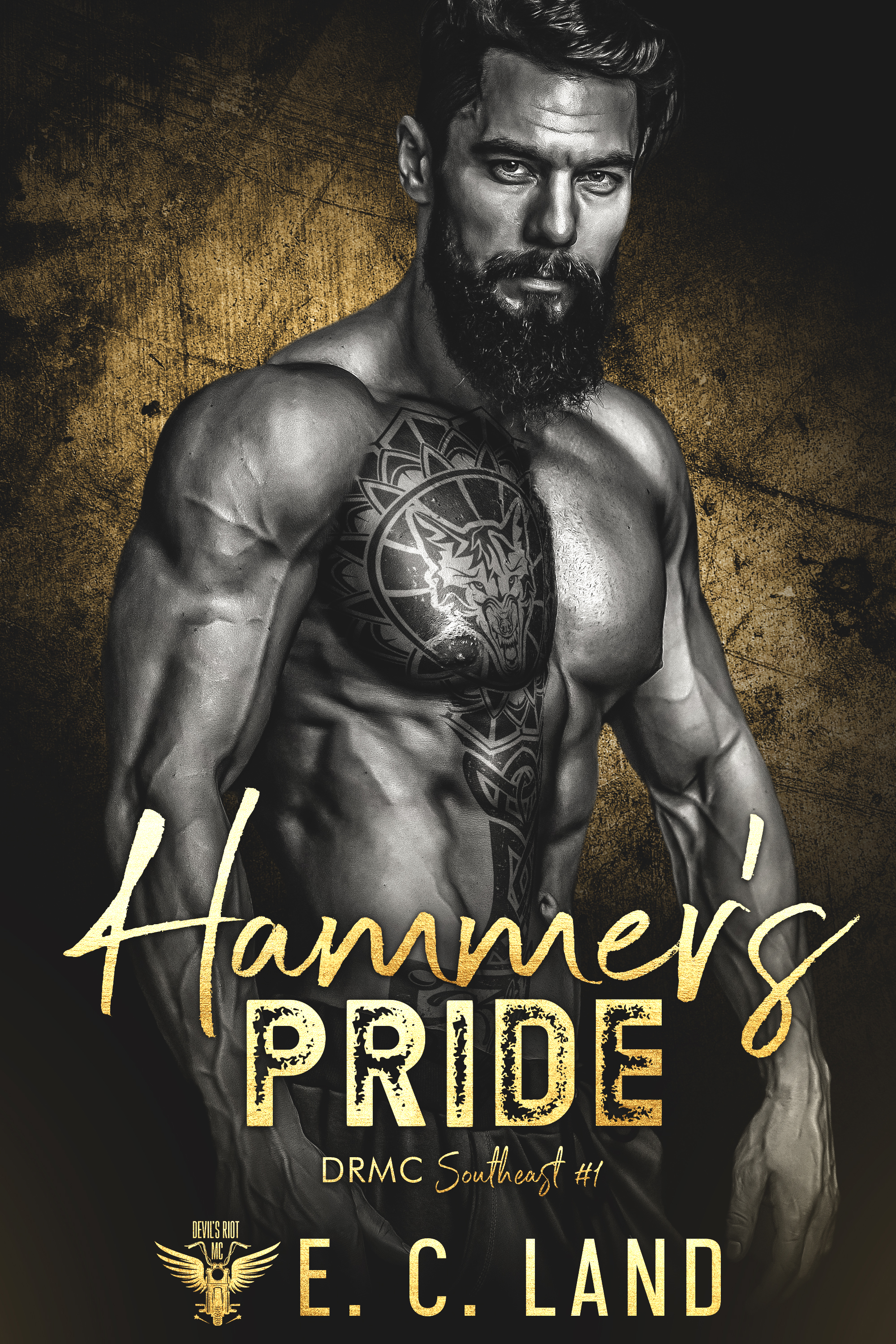 Devil's Riot MC: Southeast book cover 1