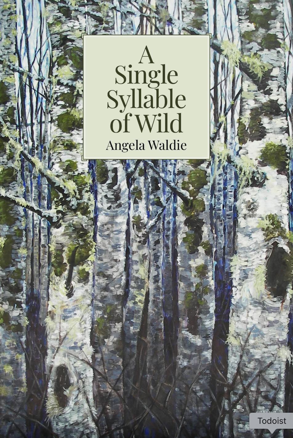 A Single Syllable of Wild book cover