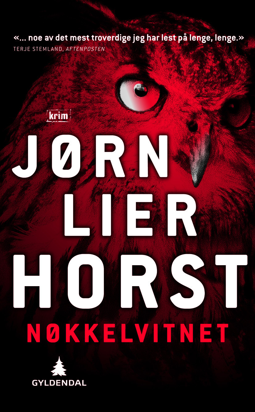 Nøkkelvitnet book cover