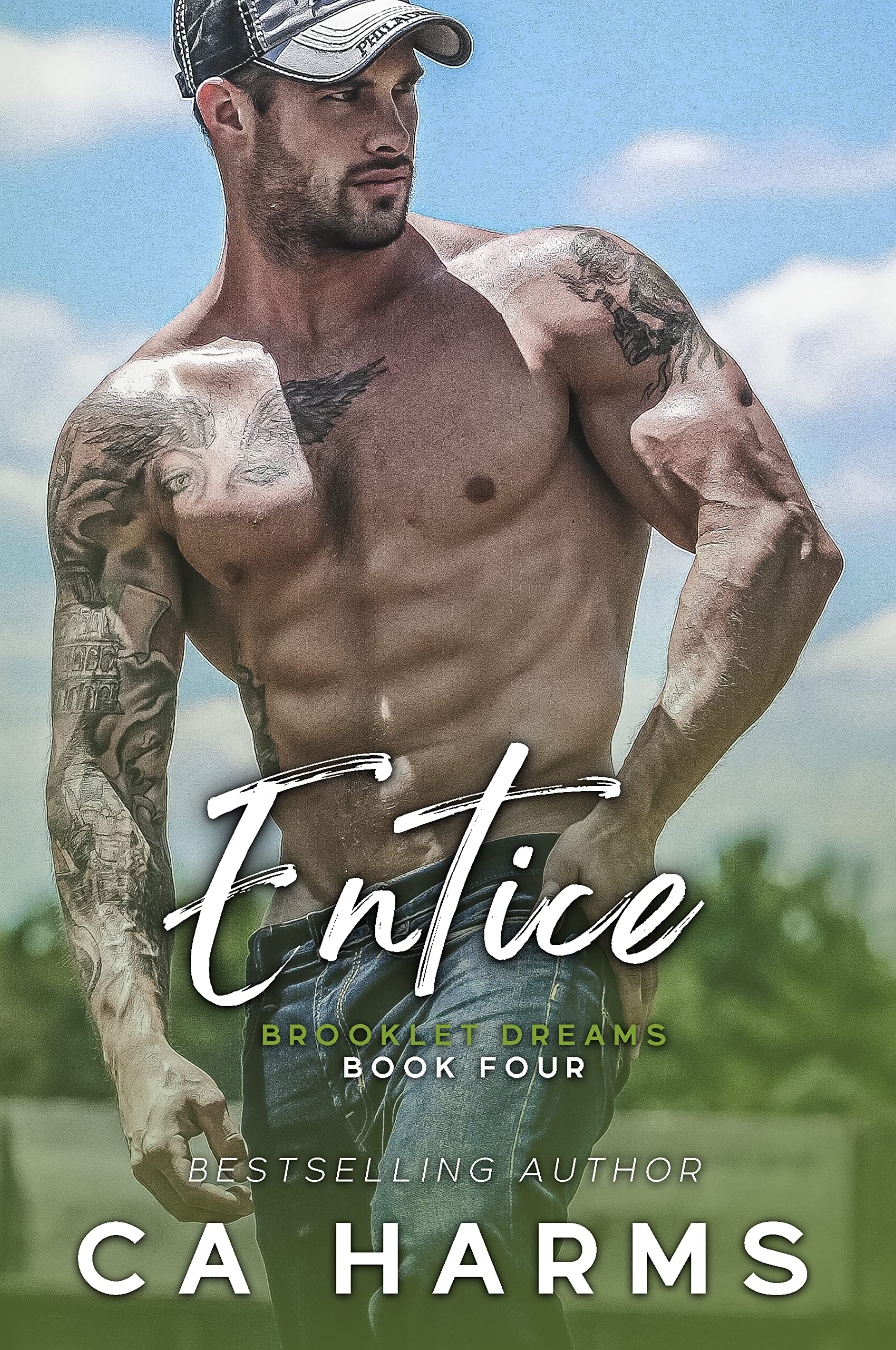 Entice book cover