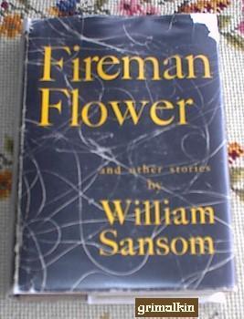 Fireman Flower and Other Stories book cover