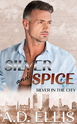 Silver in the City book cover 3