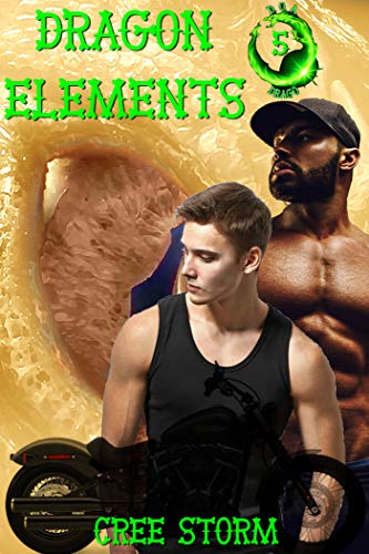Dragon Elements book cover