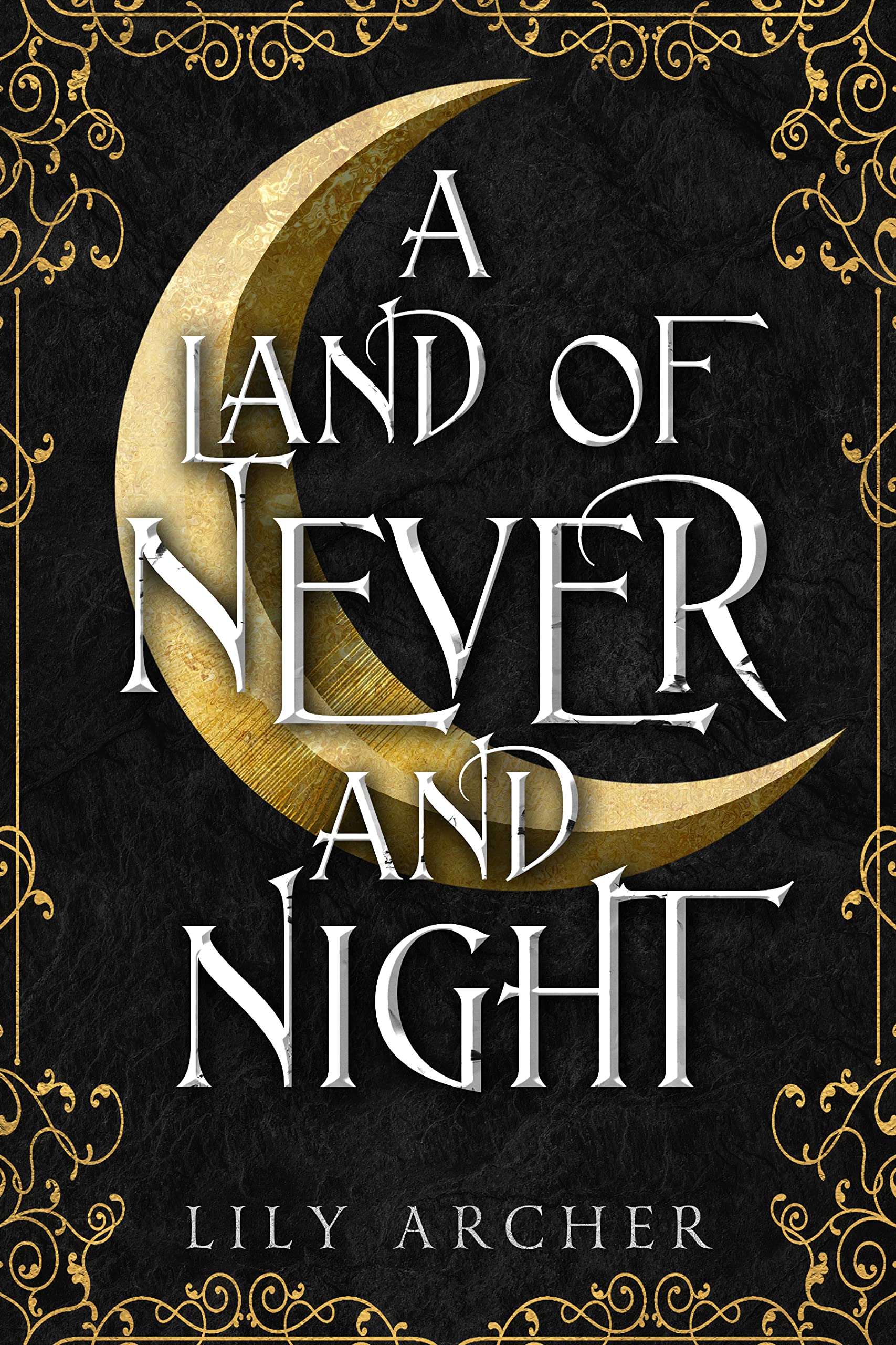 Never and Night book cover 1