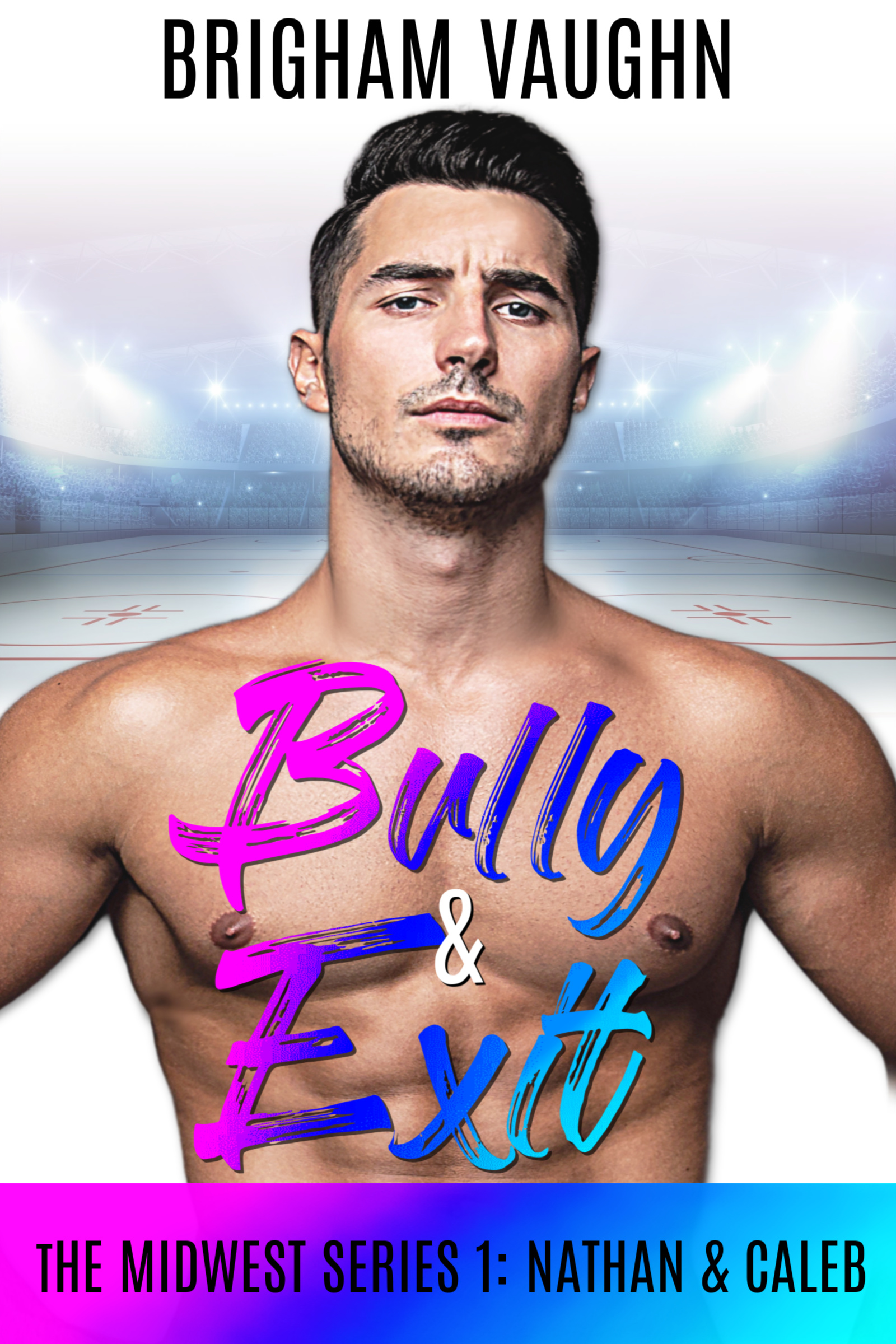 The Midwest Series book cover 1