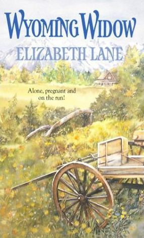 The Tolliver Family of Wyoming book cover 1
