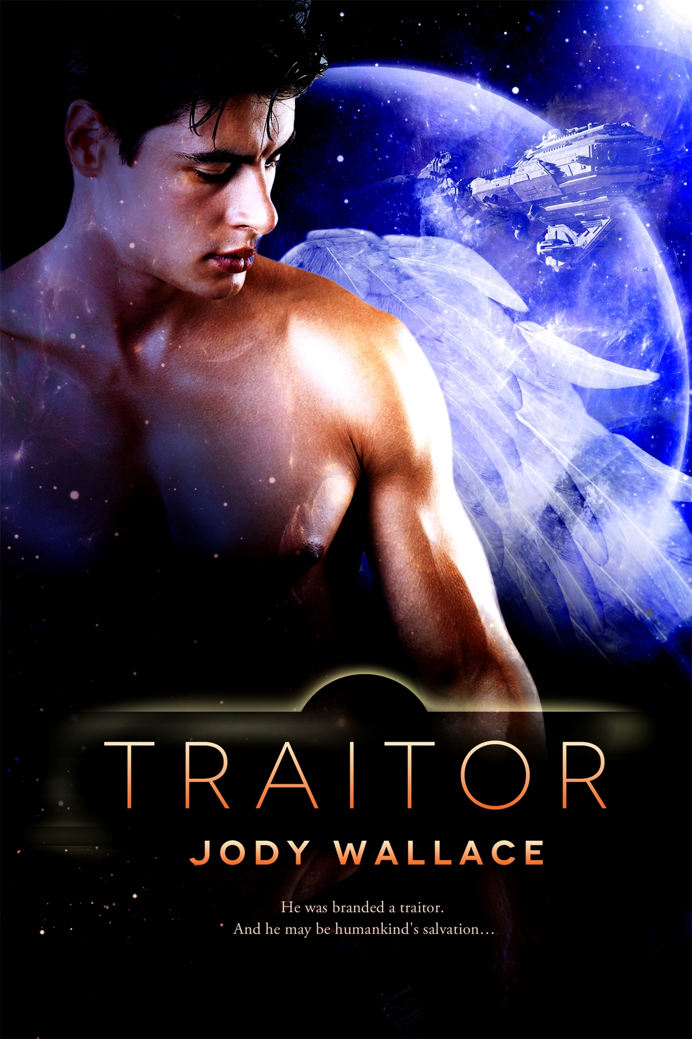 Maelstrom Chronicles book cover 2