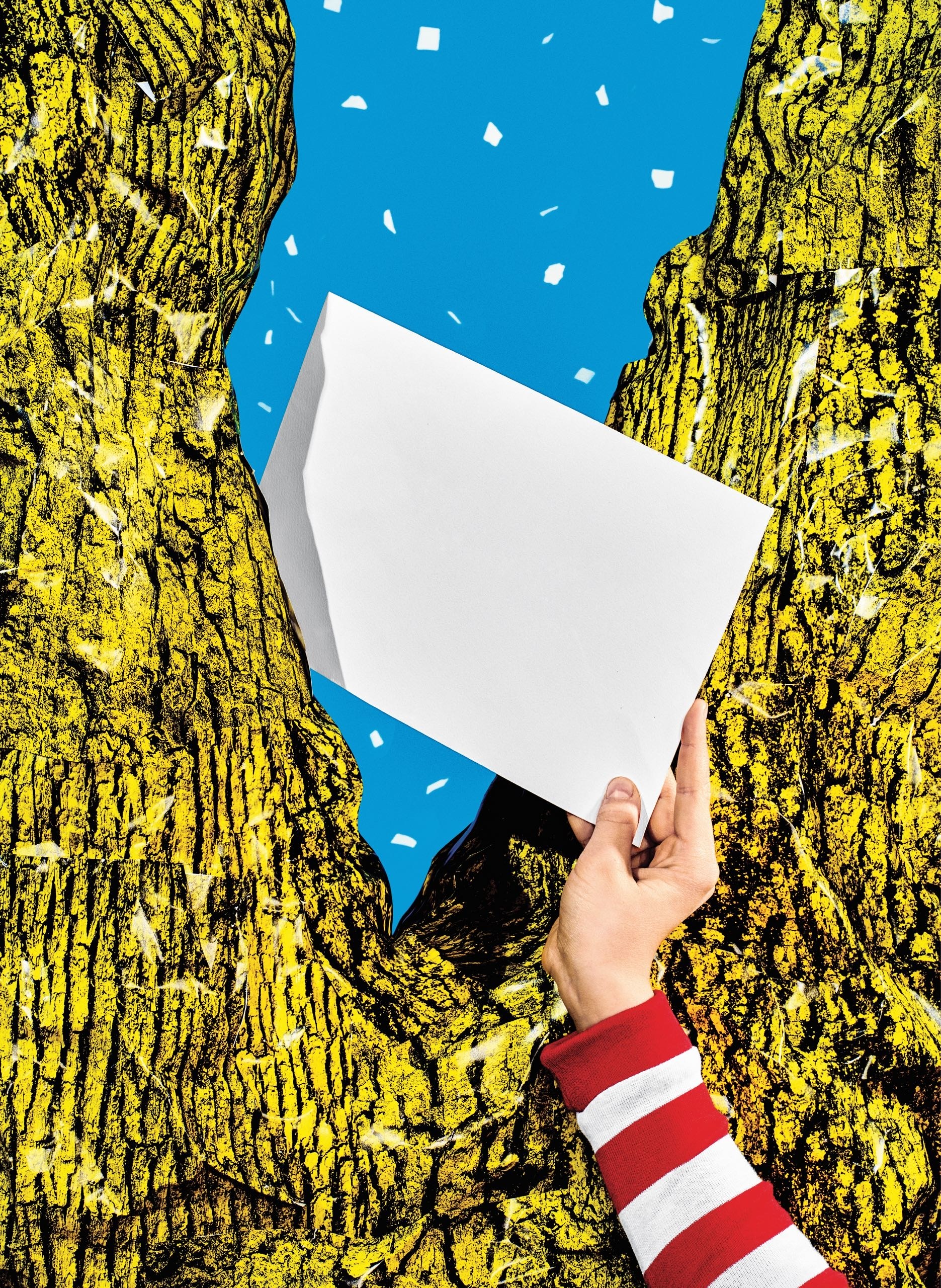 Acceptance Journey book cover