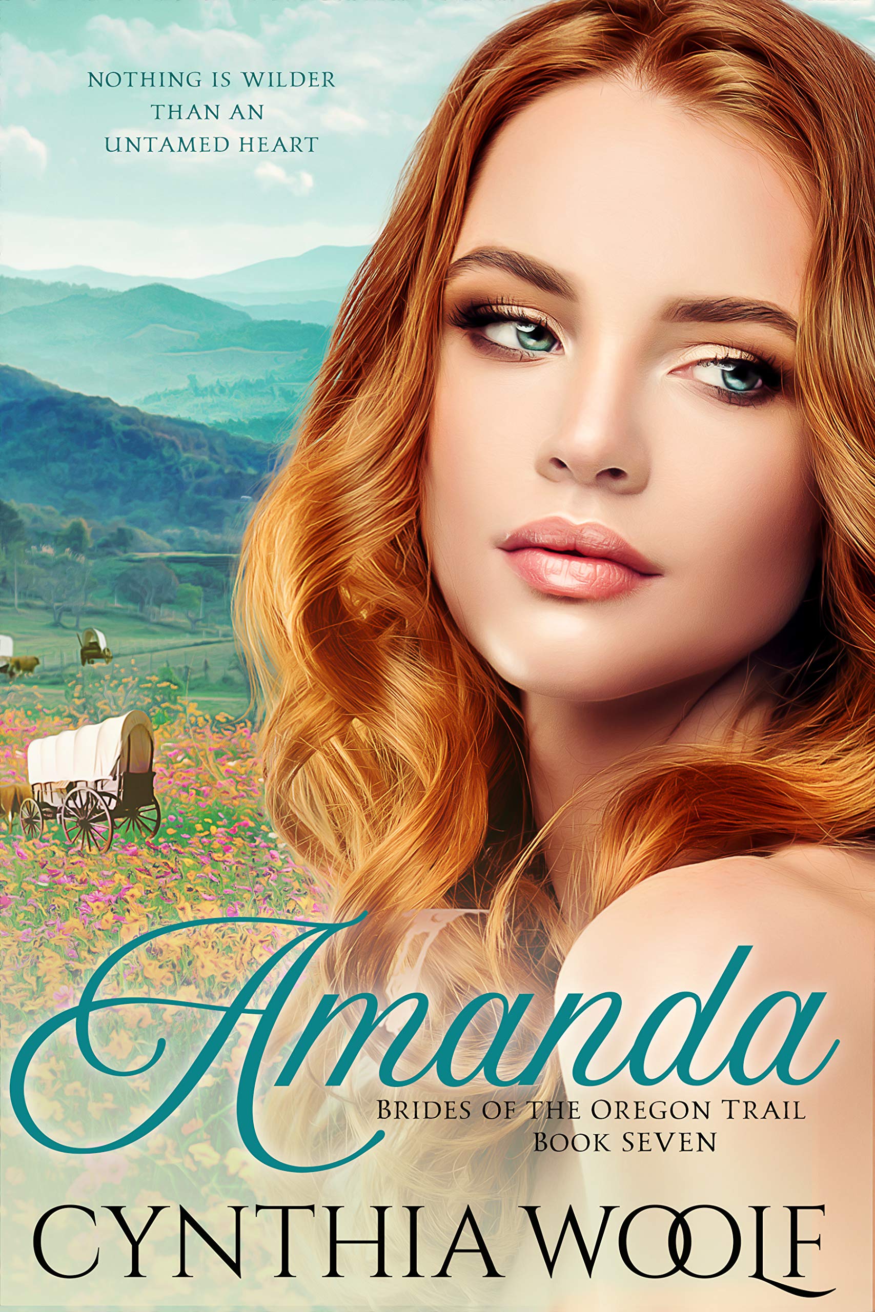 Amanda book cover