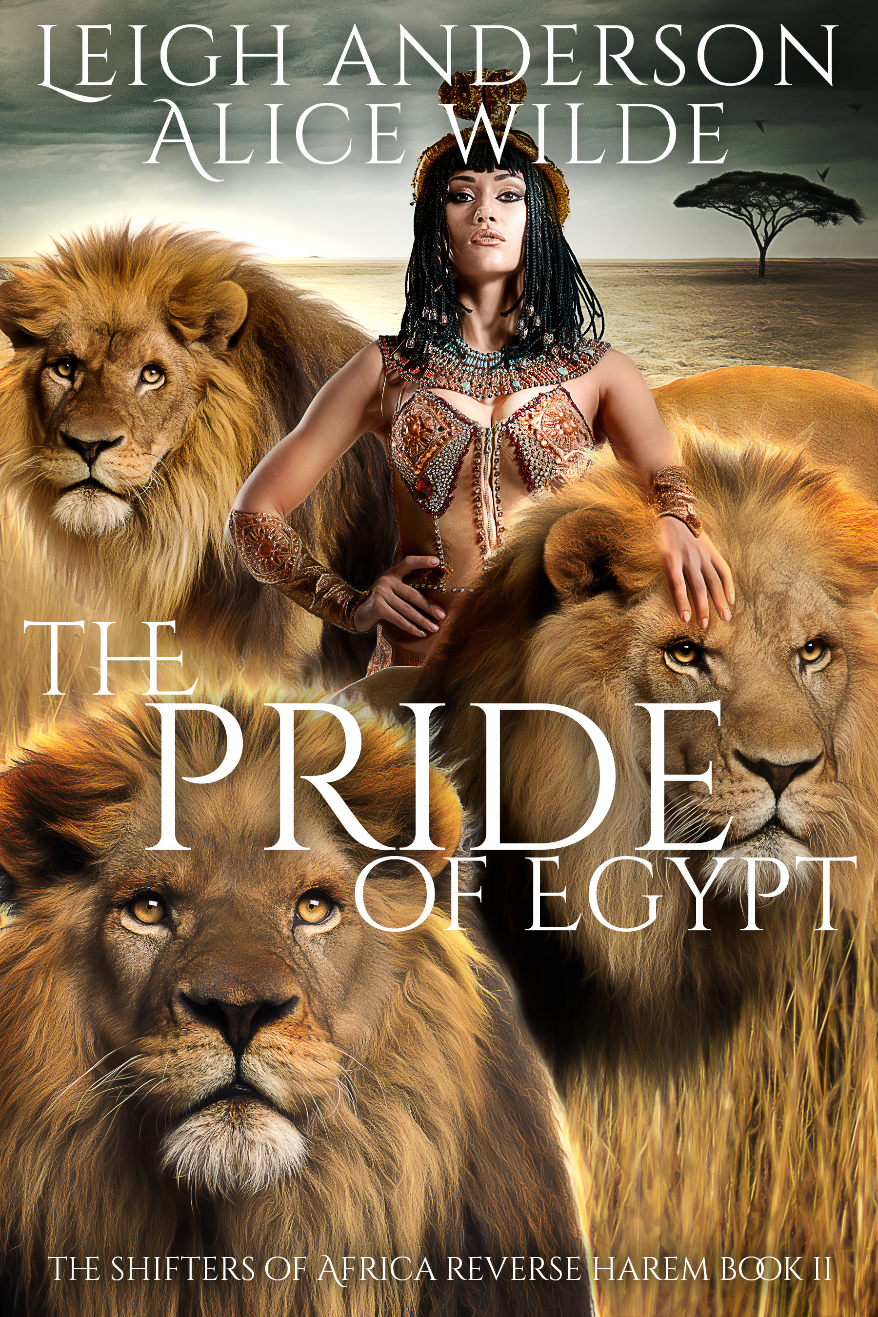 The Shifters of Africa book cover 2