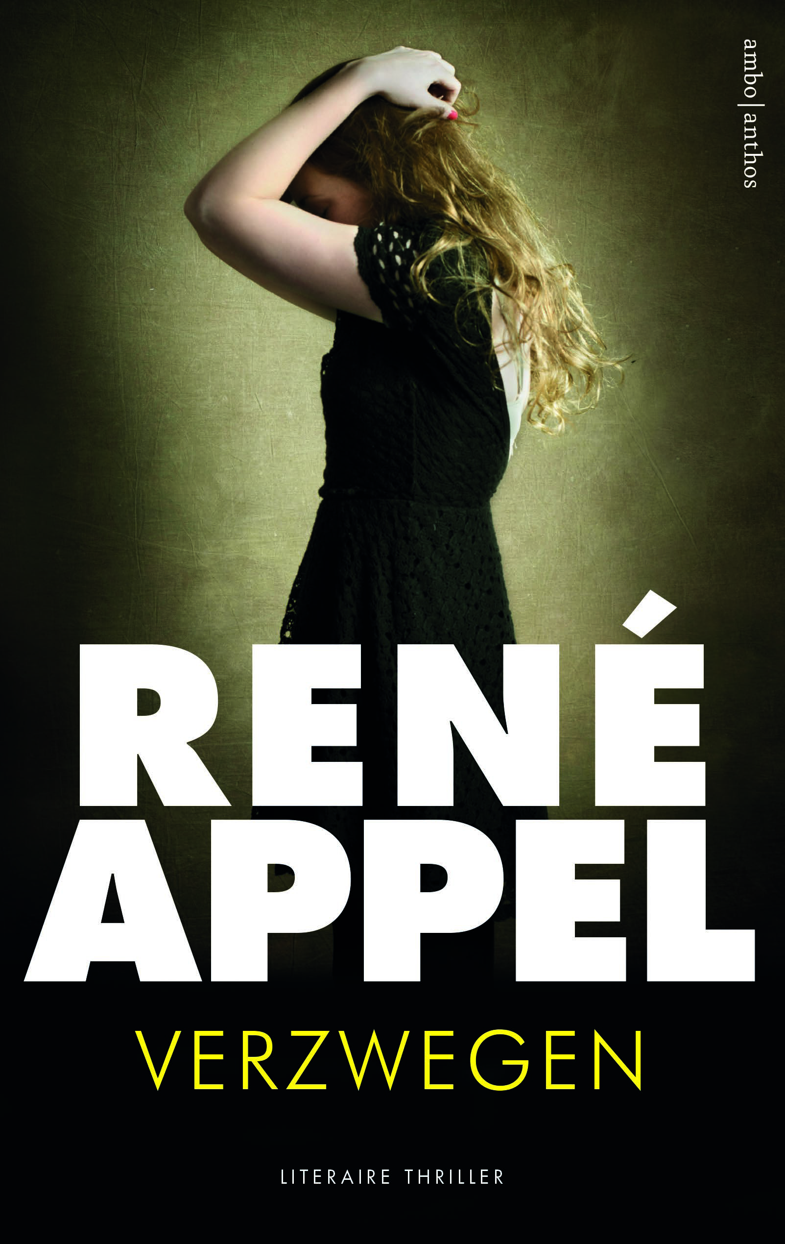 Verzwegen book cover