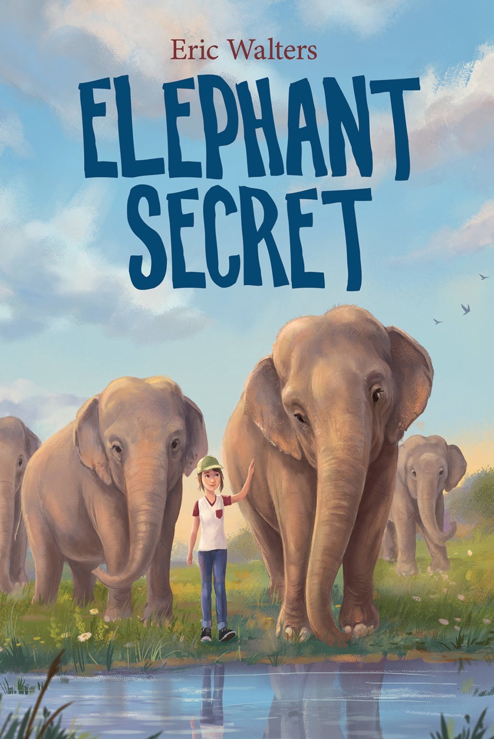 Elephant Secret book cover