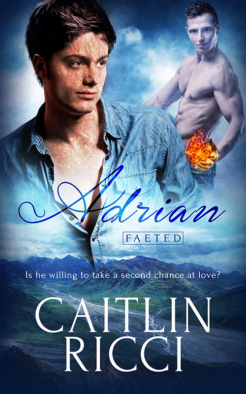 Faeted book cover 2