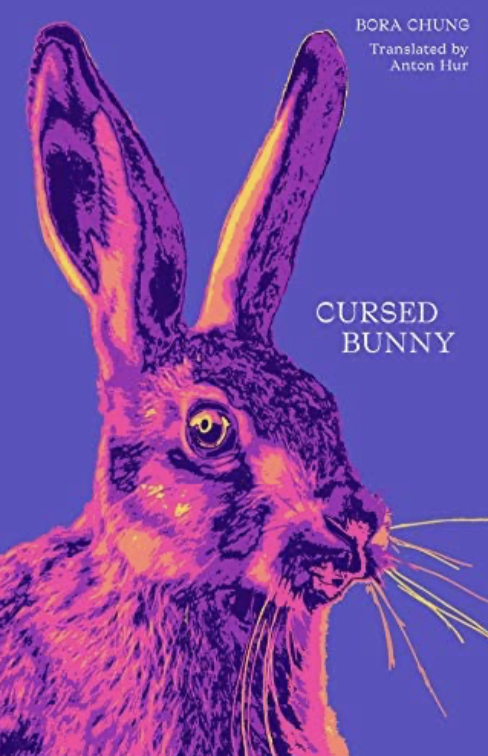 Cursed Bunny book cover
