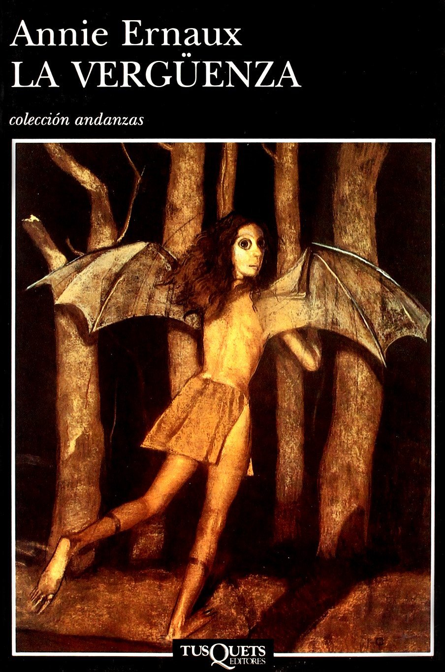Shame book cover