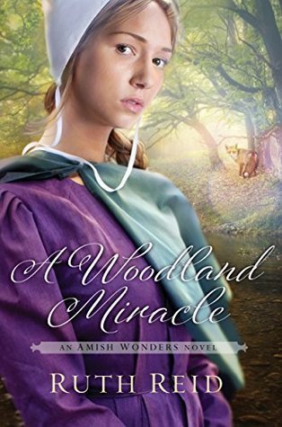 The Amish Wonders book cover 2