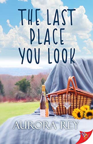 The Last Place You Look book cover