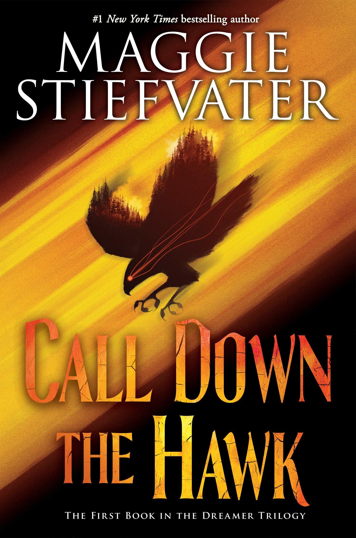 Dreamer Trilogy book cover 1
