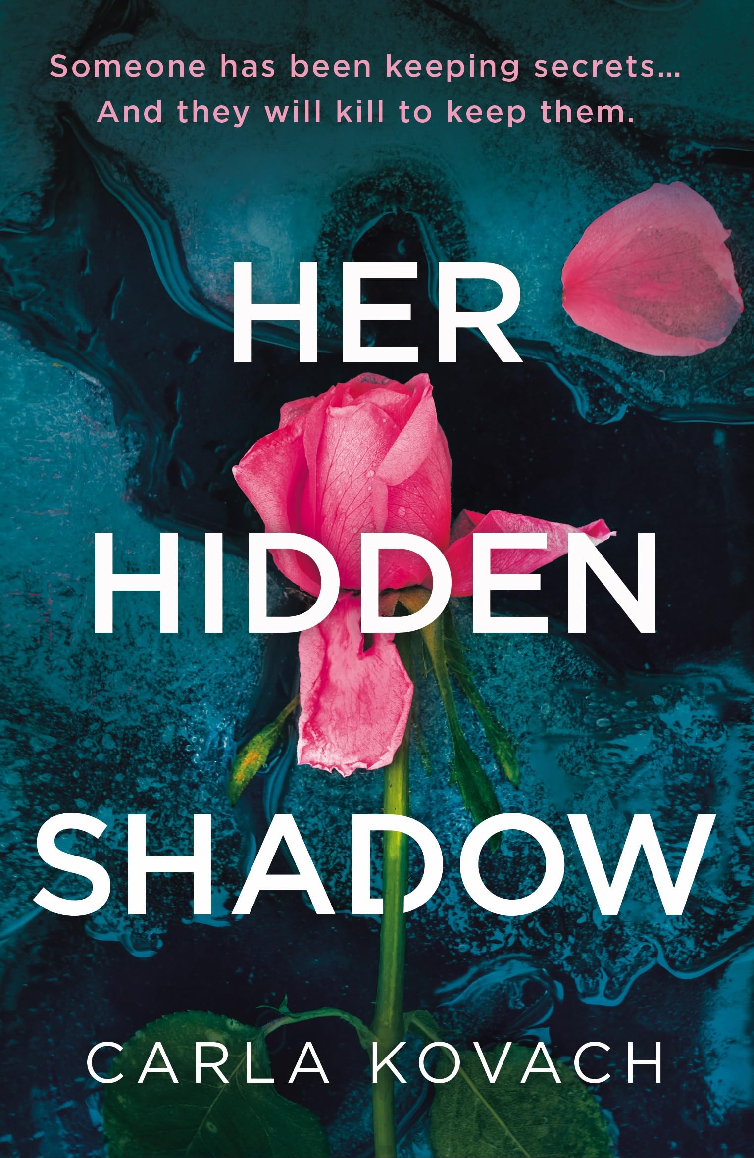Her Hidden Shadow book cover